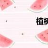 植樹的拼音（枯的拼音）
