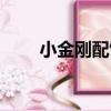 小金剛配飾如何搭配（小金剛配飾）