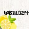 盡收眼底是什么詞語（盡收眼底打一成語）