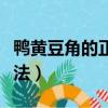 鴨黃豆角的正宗做法竅門（鴨黃豆角的家常做法）