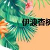 伊波杏樹出什么事了（伊波杏樹）