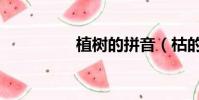 植樹的拼音(枯的拼音)