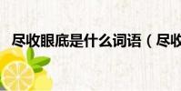 盡收眼底是什么詞語(盡收眼底打一成語)