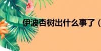 伊波杏樹出什么事了(伊波杏樹)