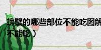 螃蟹的哪些部位不能吃圖解(梭子蟹哪些部位不能吃)