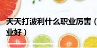 天天打波利什么職業厲害(天天打波利哪個職業好)