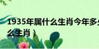 1935年屬什么生肖今年多少歲(1935年屬什么生肖)
