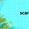 scarf是什么意思（scarf）