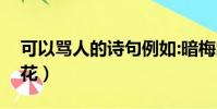 可以罵人的詩句例如:暗梅幽聞花(暗梅幽聞花)