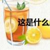 這是什么成語看圖（什么可的成語）