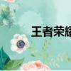 王者榮耀偷塔流（王者榮耀偷塔）