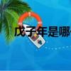 戊子年是哪一年生肖（戊子年是哪一年）