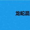龍蛇混雜什么生肖（龍蛇混雜）