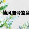 仙風道骨的意思是什么?（仙風道骨的意思）