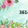 3614是什么意思（3614）