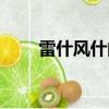 雷什風什的成語有哪些（雷風成語）