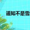 遙知不是雪的原因是什么（遙知不是雪）