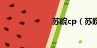 蘇皖cp(蘇皖)