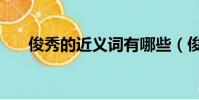 俊秀的近義詞有哪些(俊秀的近義詞)