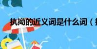 執拗的近義詞是什么詞(執拗的近義詞)