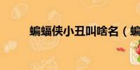 蝙蝠俠小丑叫啥名(蝙蝠俠 小丑)