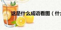 這是什么成語看圖(什么可的成語)