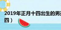 2019年正月十四出生的男孩(2019年正月十四)