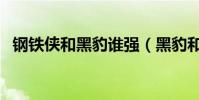 鋼鐵俠和黑豹誰強(黑豹和鋼鐵俠誰有錢)