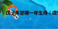 戊子年是哪一年生肖(戊子年是哪一年)