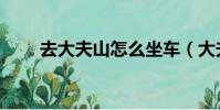 去大夫山怎么坐車(大夫山怎么去)