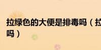 拉綠色的大便是排毒嗎(拉綠色的屎是在排毒嗎)