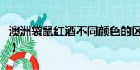 澳洲袋鼠紅酒不同顏色的區別(澳洲袋鼠紅酒)