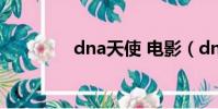 dna天使 電影(dna天使)
