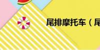 尾排摩托車(尾排)