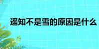 遙知不是雪的原因是什么(遙知不是雪)