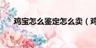 雞寶怎么鑒定怎么賣(雞寶怎么鑒定)