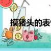 摸豬頭的表情（豬年摸豬頭順口溜抖音）
