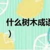 什么樹木成語四字詞語二年級（什么樹木成語）