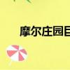 摩爾莊園巨龍坐騎（摩爾莊園龍坐騎）