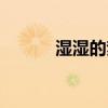 濕濕的夢在線試聽（濕濕的夢）