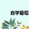 自學葡萄牙語教材（自學葡萄牙語）