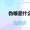 偽娘是什么心態（上偽娘是什么感覺）