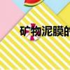 礦物泥膜的使用方法（礦物泥漿面膜）