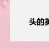 頭的英文怎么讀（頭的英文）