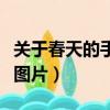 關于春天的手抄報圖片集（關于春天的手抄報圖片）