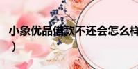小象優品借款不還會怎么樣(小象優品怎么樣)