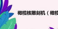 橄欖核雕刻機(橄欖核雕刻)