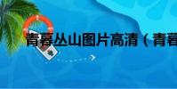 青暮叢山圖片高清(青暮從山和尚圖)