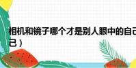 相機和鏡子哪個才是別人眼中的自己(相機和鏡子哪個是自己)