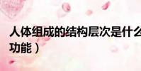 人體組成的結構層次是什么(人體組成和結構功能)